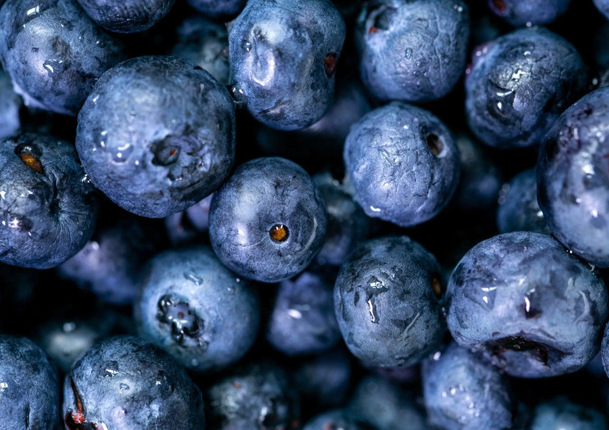 Blueberry extract