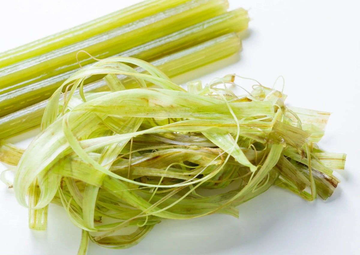 Butterbur extract (Coltsfoot, Tussilago Farfara)