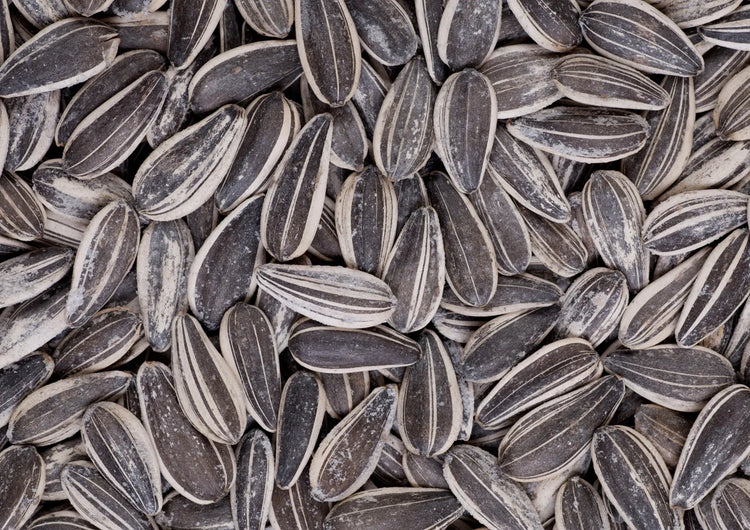 Helianthus Annuus Seed Oil