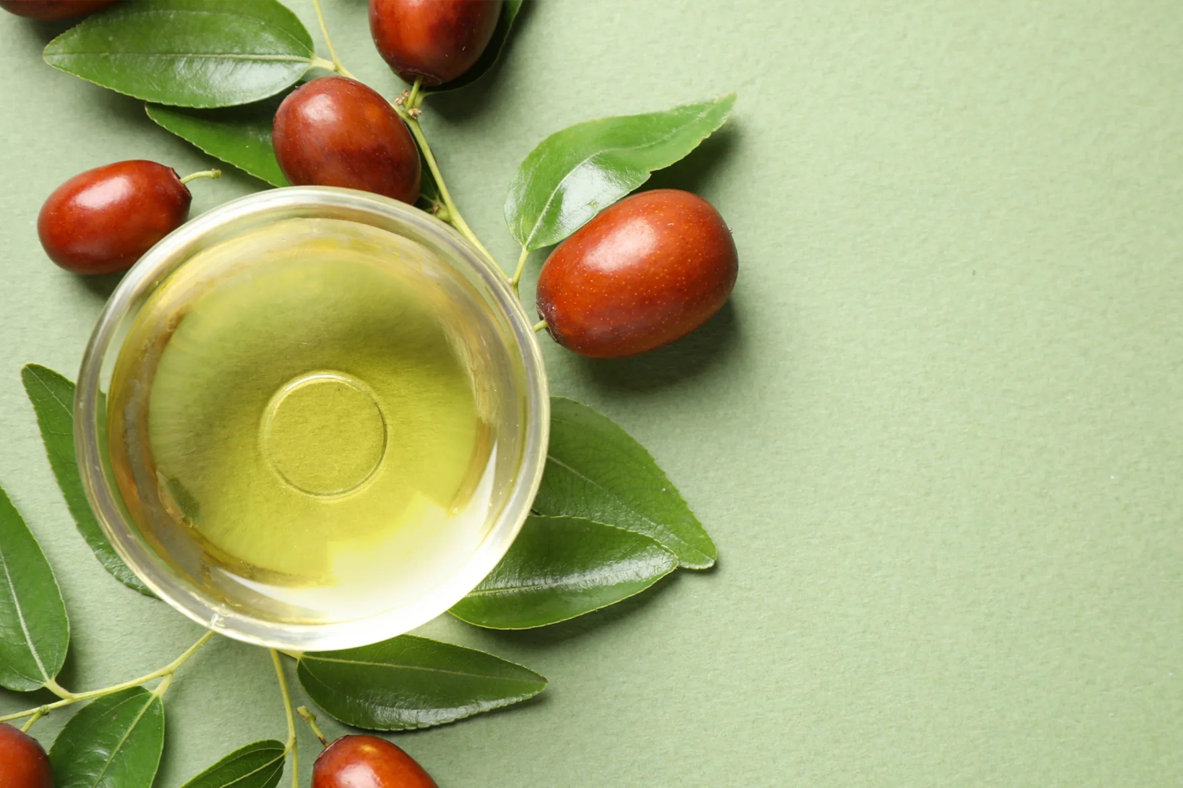 Simmondsia Chinensis Seed Oil