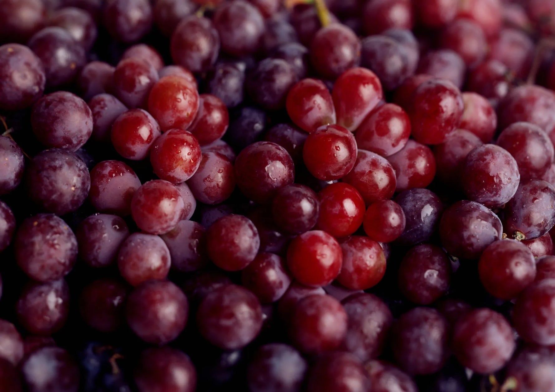 Vitis Vinifera Fruit Extract, Pyrus Malus Fruit Extract, Citrus Limon Fruit Extract