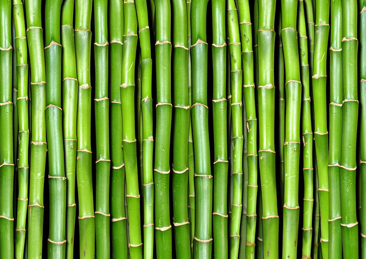 Bamboo Scrub (Bambusa Arundinacea Powder)